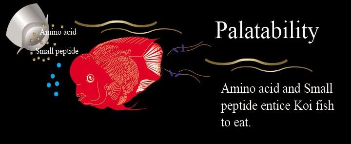 Aqua Master Red Parrot Cichlid Fish Food, 500g - view 6
