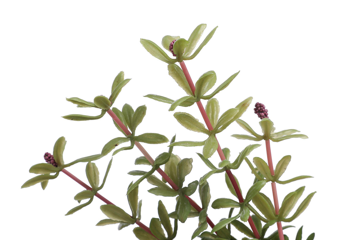 CNZ 3-Pack Artificial Aquarium Plants, 7-inch - view 7