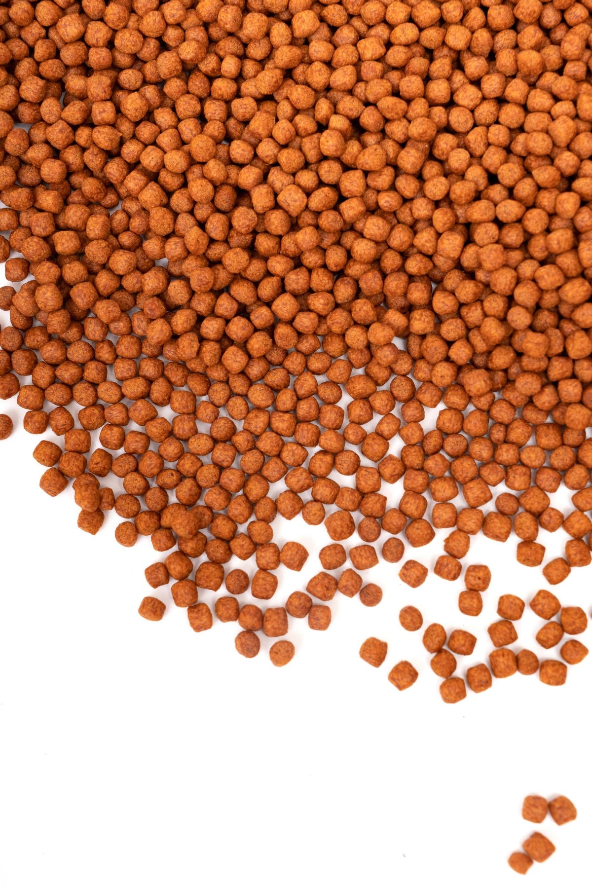 Aqua Master Prime Fish Food 10kg, 22-pound (Large) - view 5