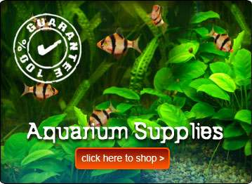 Pond Supplies Aquarium Supplies Fish Supplies