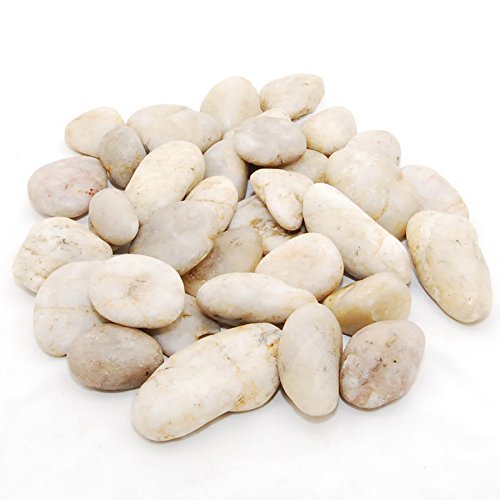 CNZ Decorative Ornamental River Light Color Pebble Stone for Fresh Water Fish Animal Plant Aquariums, Landscaping, Home De...