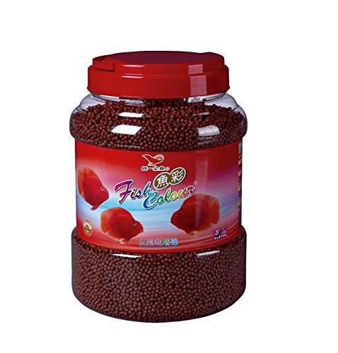 Fish Colour Color Enhancing Red Parrot & Cichlid Fish Feed Food (Large 1088-gram)