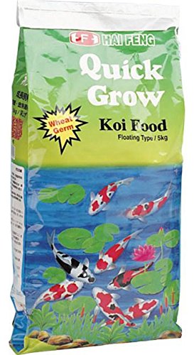 Hai Feng Quick Grow Floating Type Koi Food