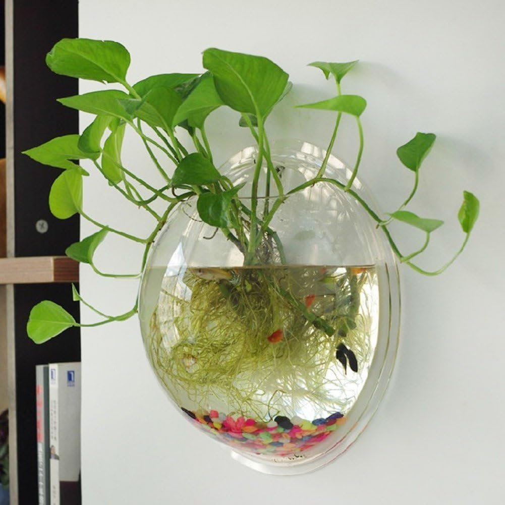 CNZ Wall Mounted Acrylic Fish Bowl, 11.5-inch - view 2