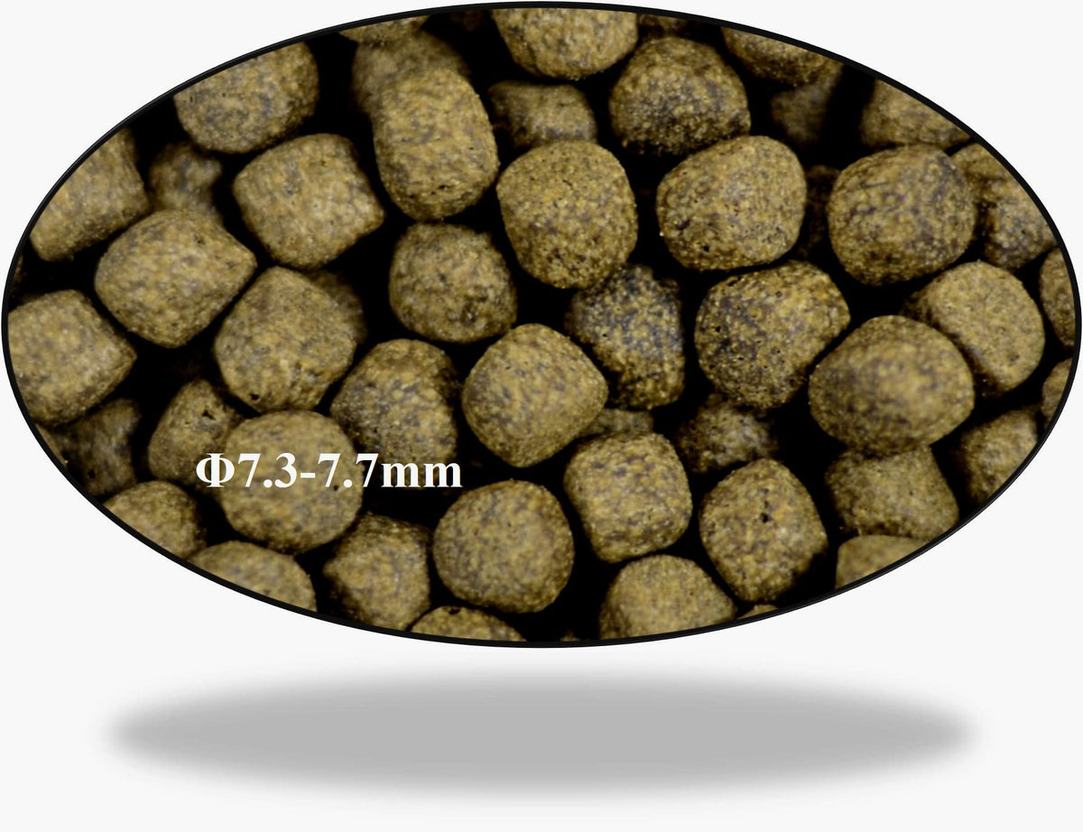 Aqua Master Koi Growth Fish Food Large Pellet, 2.2-Pound - view 2