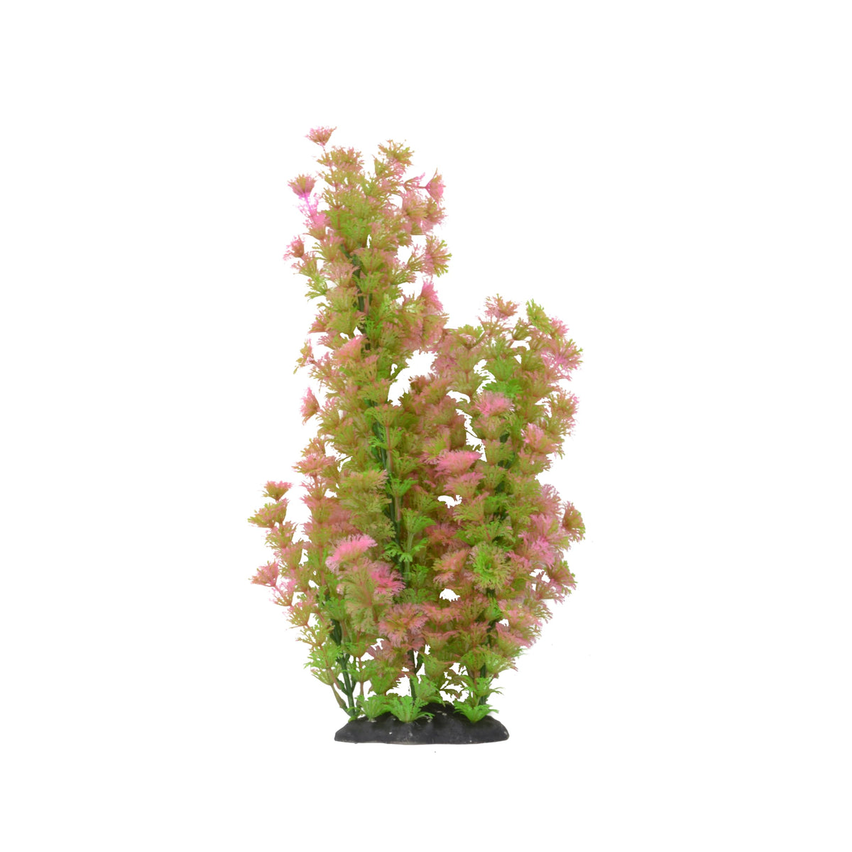 CNZ Aquarium Plastic Plant Decoration w Ceramic Base Medium 15-inch, Green Beauty