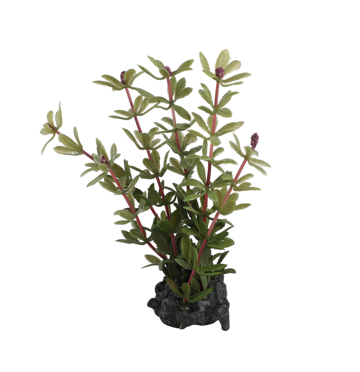 CNZ 3 Pcs Assorted Lifelike Green Aquarium Plastic Plant Decoration (3pcsGR7inch) - view 6