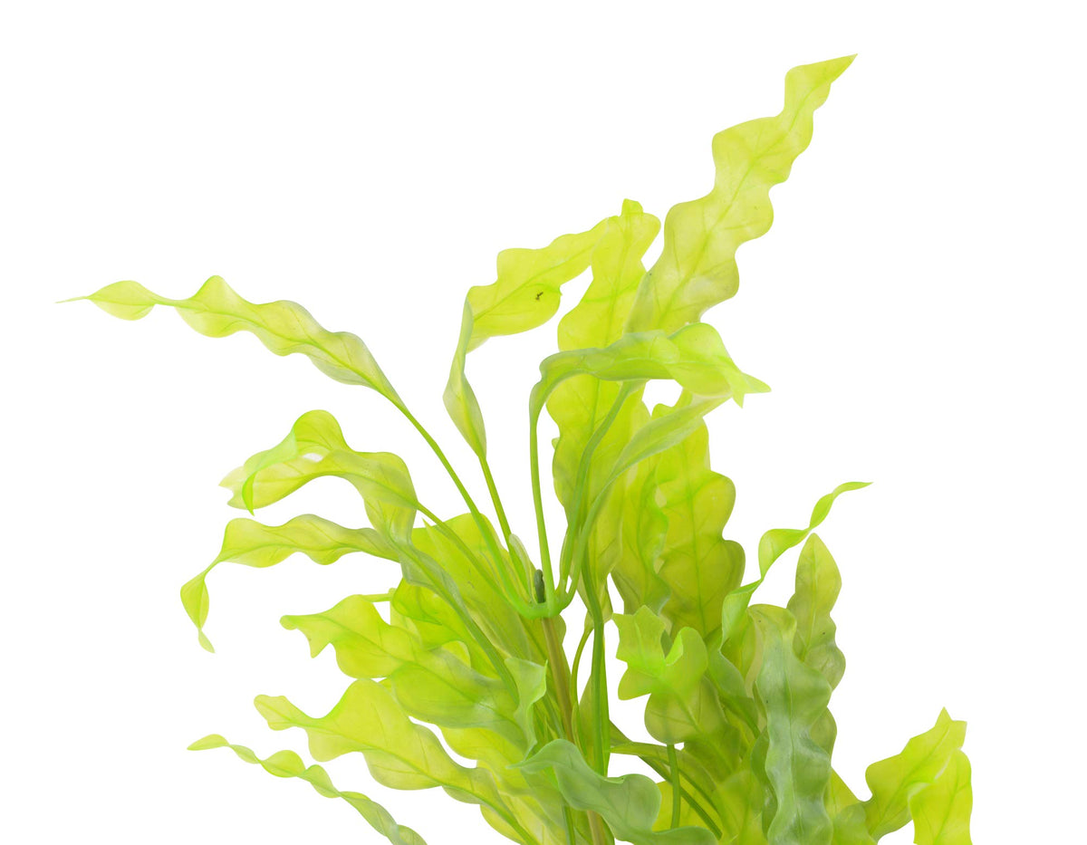 CNZ Aquarium Decor Artificial Plastic Plant, 17.5-inch Java Fern, 2-pack - view 2