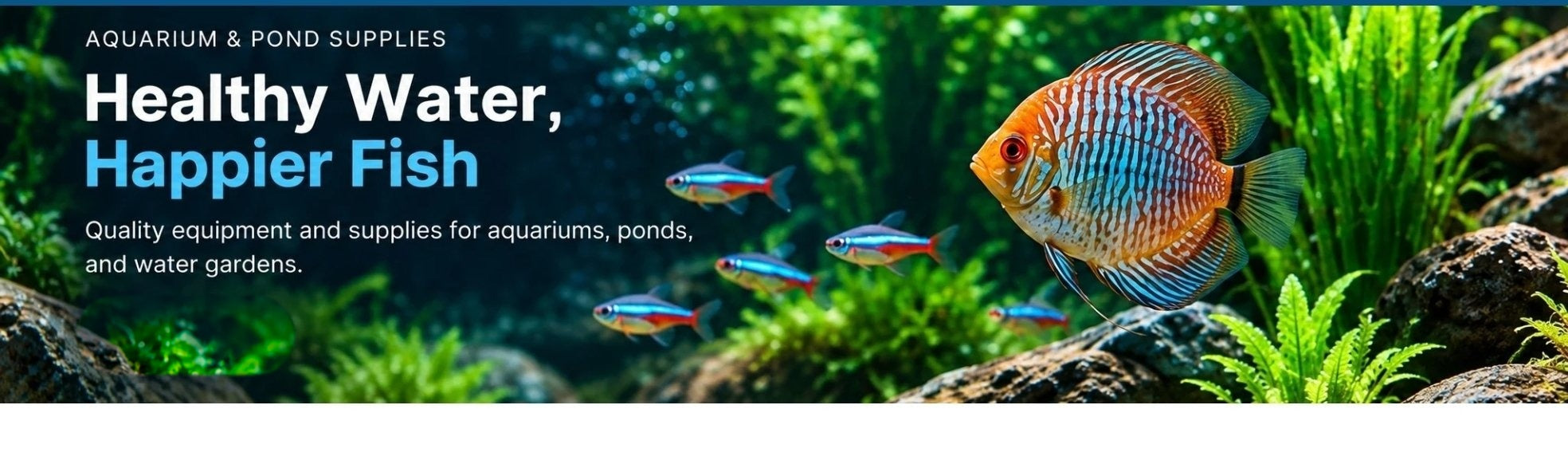 Shop4fish aquarium and pond supplies - Healthy Water, Happier Fish